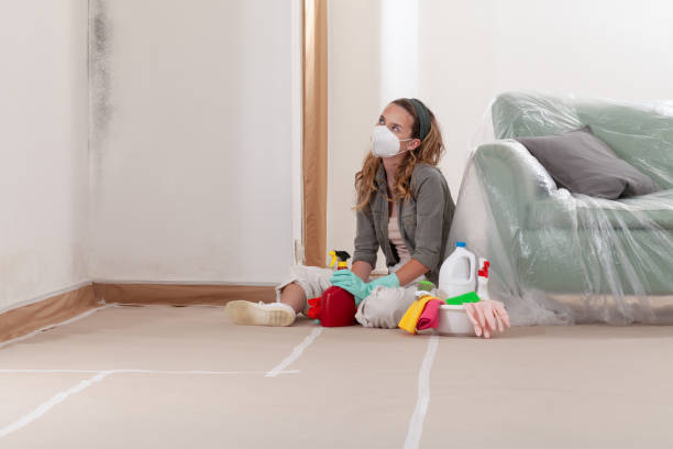 Reliable Basement Mold Removal contractor in Missouri City, TX by WQB Mold Removal
